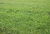 LG-FL-Workshop in der OG Rorup am 18.03.2018 LG-FL-Workshop in der OG Rorup am 18.03.2018