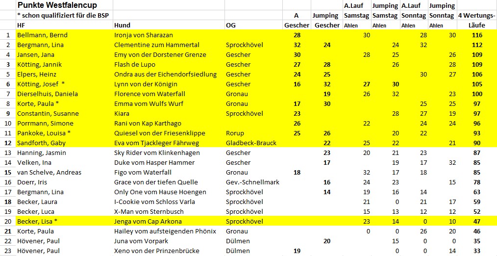 Endergebnis Westfalencup