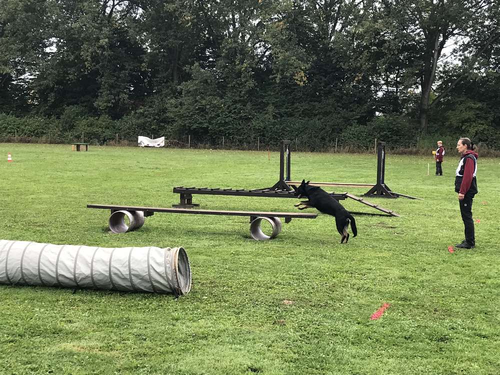 BSP RH Edith mit Nya Fassbrücke 002 Kopie Kopie