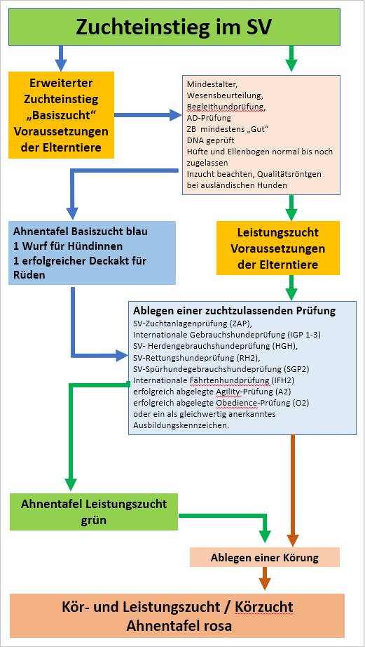 Zuchteinstieg