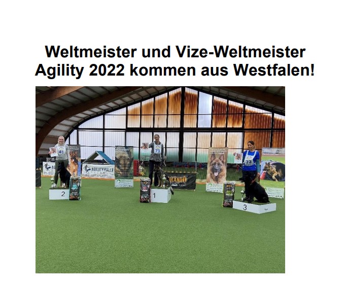 Weltmeisterschaft Agi 2022