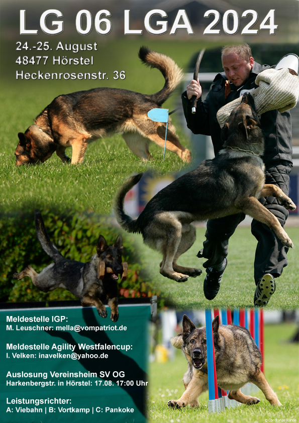 Plakat LGA24