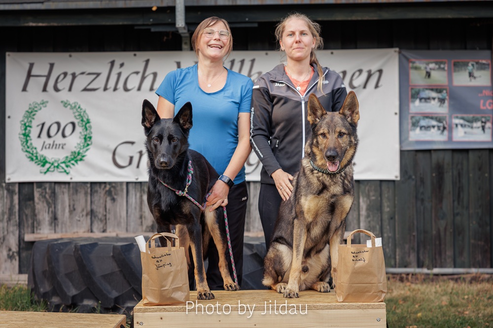 BLF Schnellster DSH BL