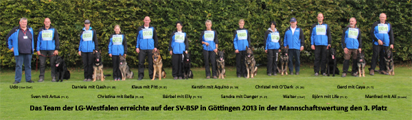 Team-BSP2013klein