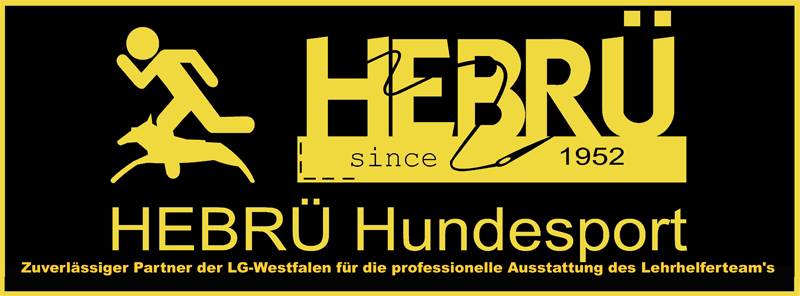 Hebrue Banner 800