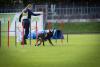 Bericht zur BSP Agility in Halle Bericht zur BSP Agility in Halle