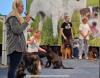 Bericht zur Messe Dogs & Fun Bericht zur Messe Dogs & Fun