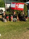 Bericht zur SV Deutsche Meisterschaft, Jugend-Meisterschaft und Bundessiegerprüfung Rally Obedience Bericht zur SV Deutsche Meisterschaft, Jugend-Meisterschaft und Bundessiegerprüfung Rally Obedience