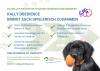 Präsentation der Rally Obedience Sparte Präsentation der Rally Obedience Sparte
