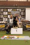 Agility European Open in Saarburg - für Westfalen immer eine Reise wert! 