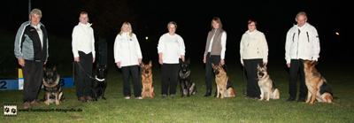 SV-Obedience-Hamm1