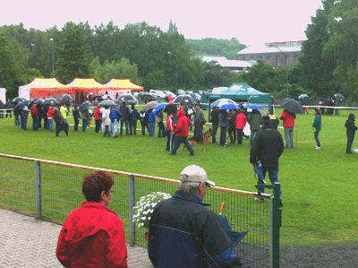 lgzswanne2012