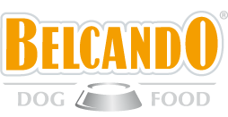 BelcandoLogo